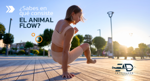 animal flow